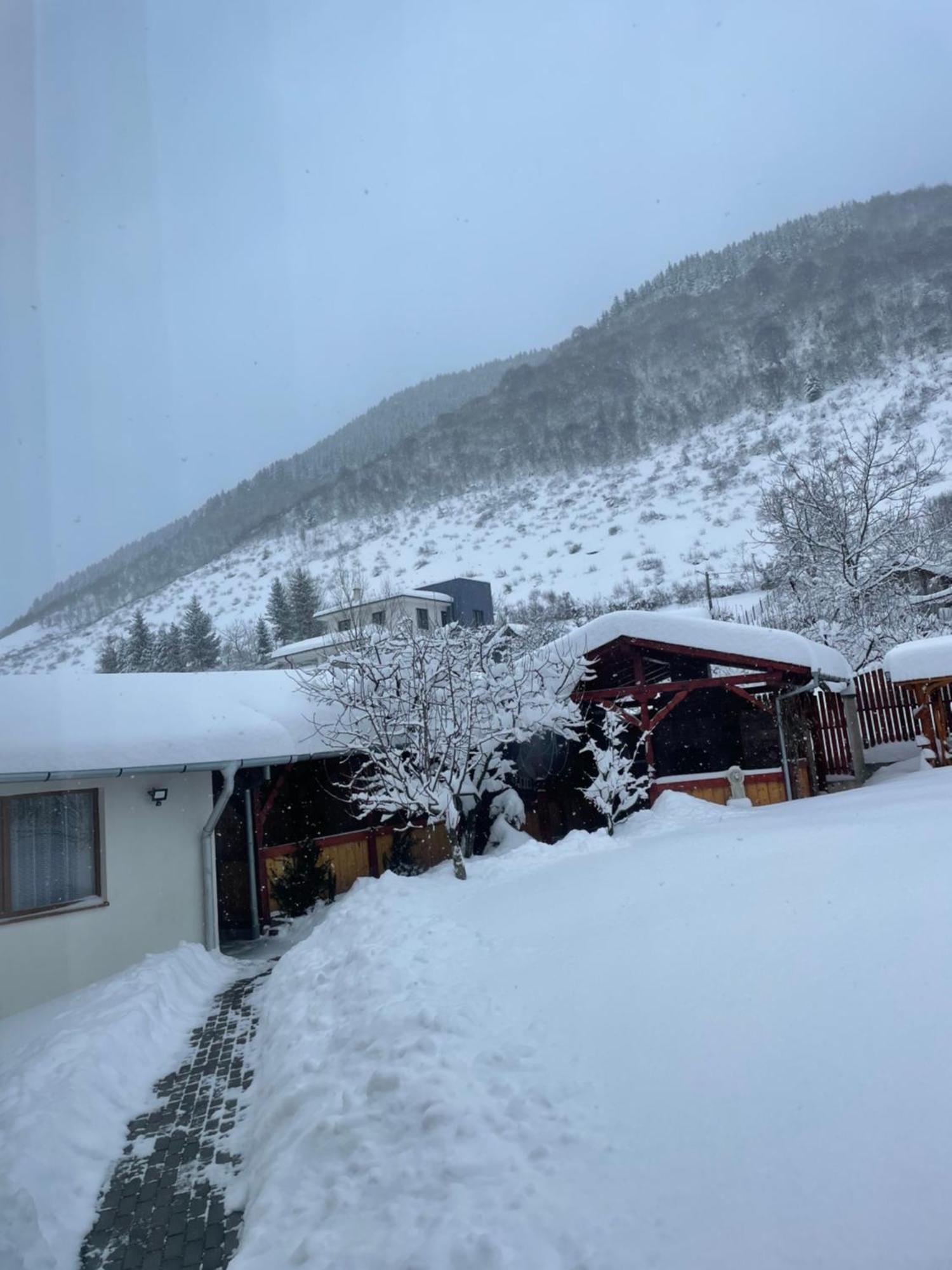 Pensiunea Vatafu Gura Rîului Exterior foto